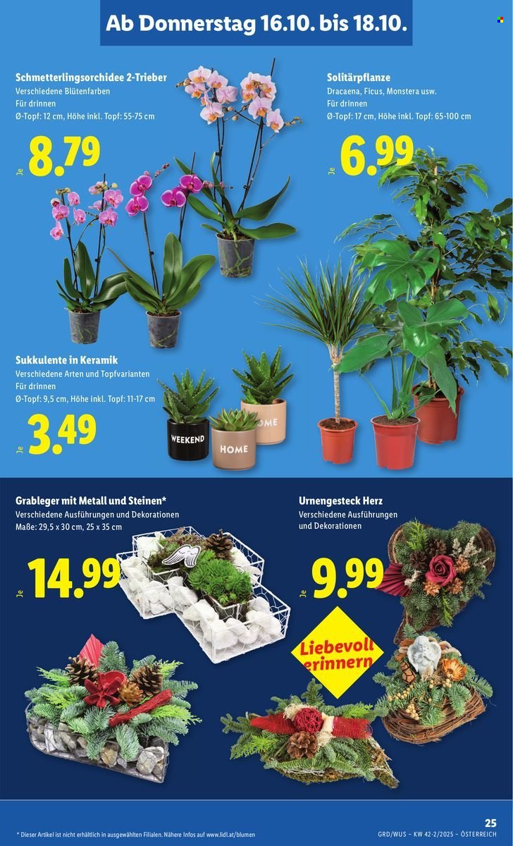 LIDL Flugblatt - Ab Donnerstag, 16.10.2025 (2025-10-16 - 2025-10-22)