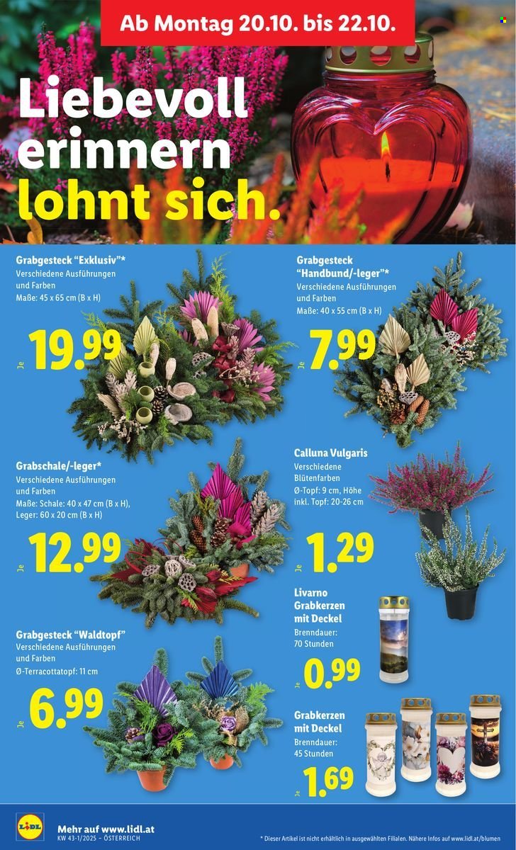 LIDL Flugblatt - Ab Donnerstag, 16.10.2025 (2025-10-16 - 2025-10-22)