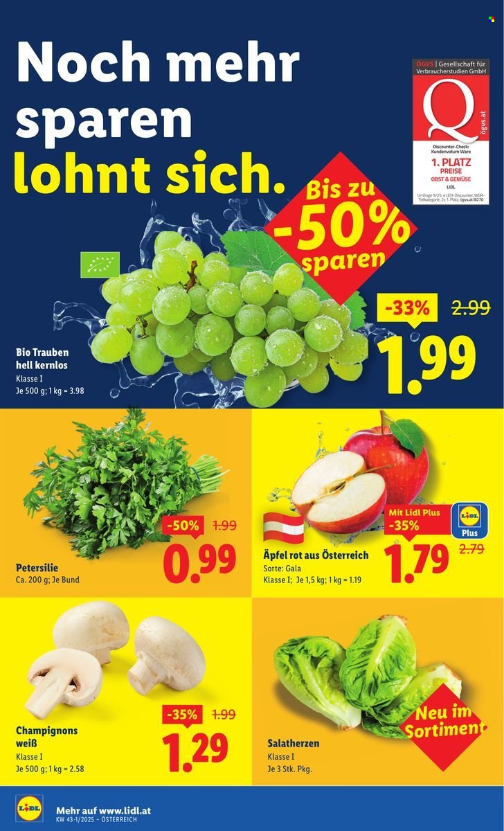 LIDL Flugblatt - Ab Donnerstag, 16.10.2025 (2025-10-16 - 2025-10-22)