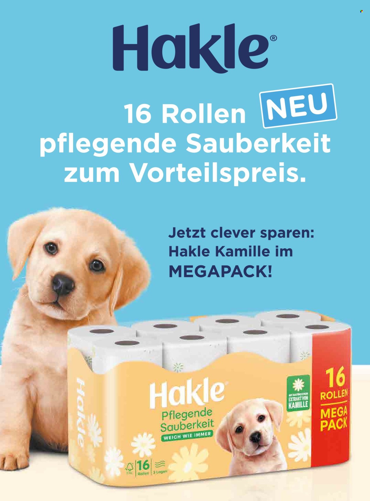 DM DROGERIE Flugblatt - Ab Mittwoch, 1.7.2026