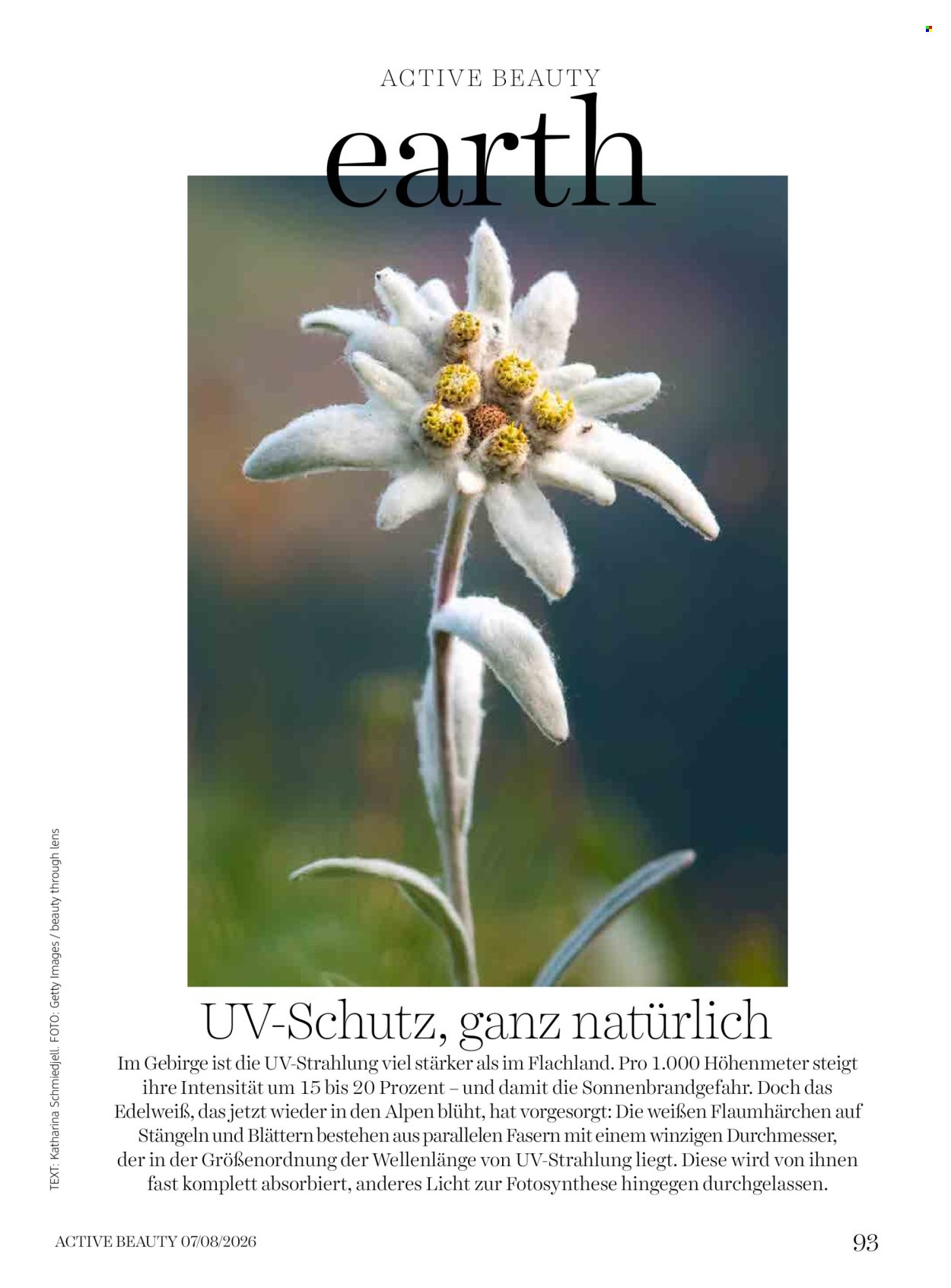 DM DROGERIE Flugblatt - Ab Mittwoch, 1.7.2026