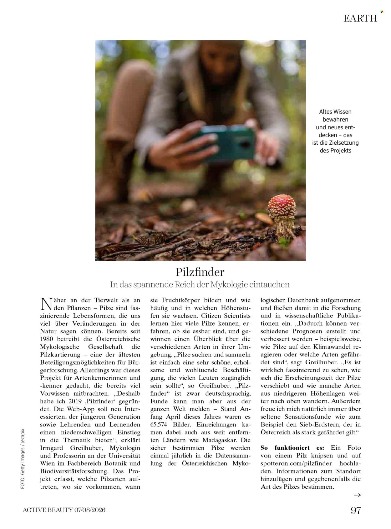 DM DROGERIE Flugblatt - Ab Mittwoch, 1.7.2026