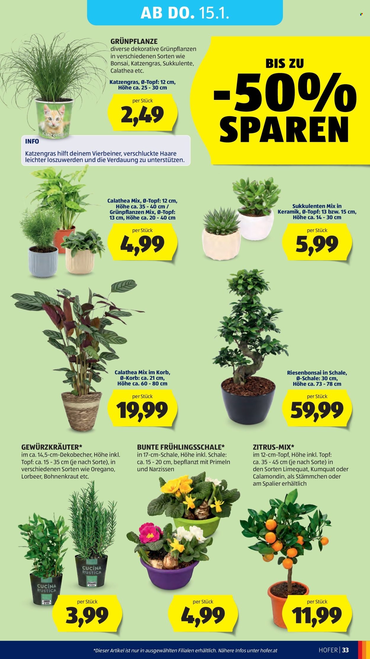 HOFER Flugblatt - Ab Freitag, 9.1.2026