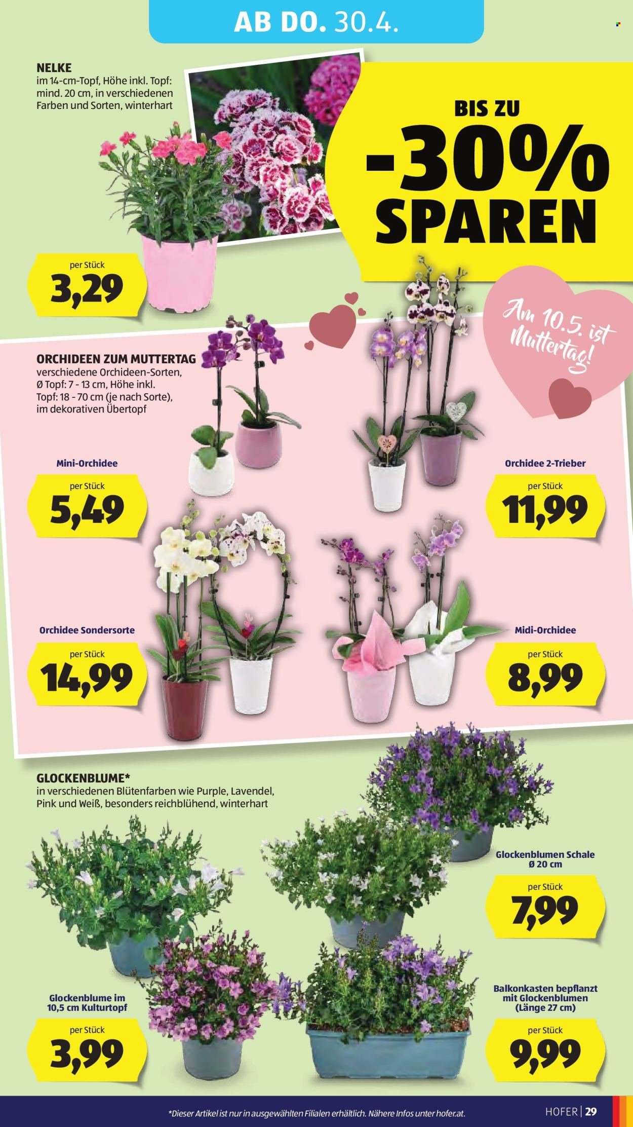 HOFER Flugblatt - Ab Mittwoch, 22.4.2026