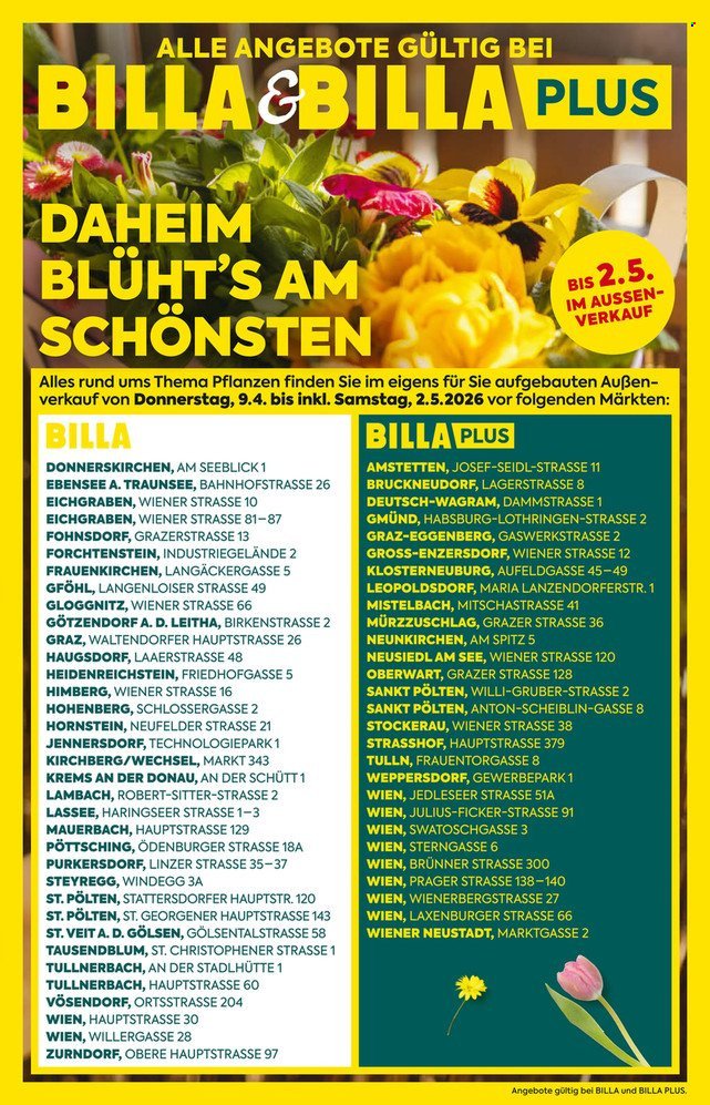 BILLA Flugblatt - Ab Donnerstag, 9.4.2026