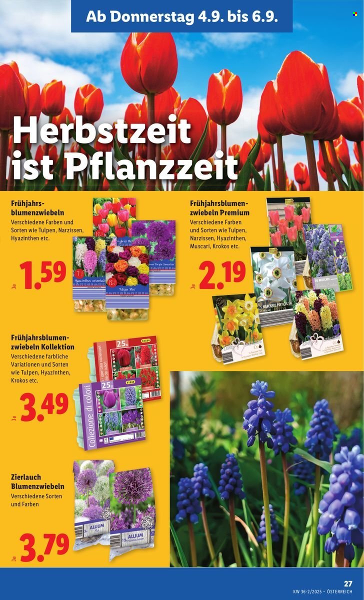 LIDL Flugblatt - Ab Donnerstag, 4.9.2025 (2025-09-04 - 2025-09-10)