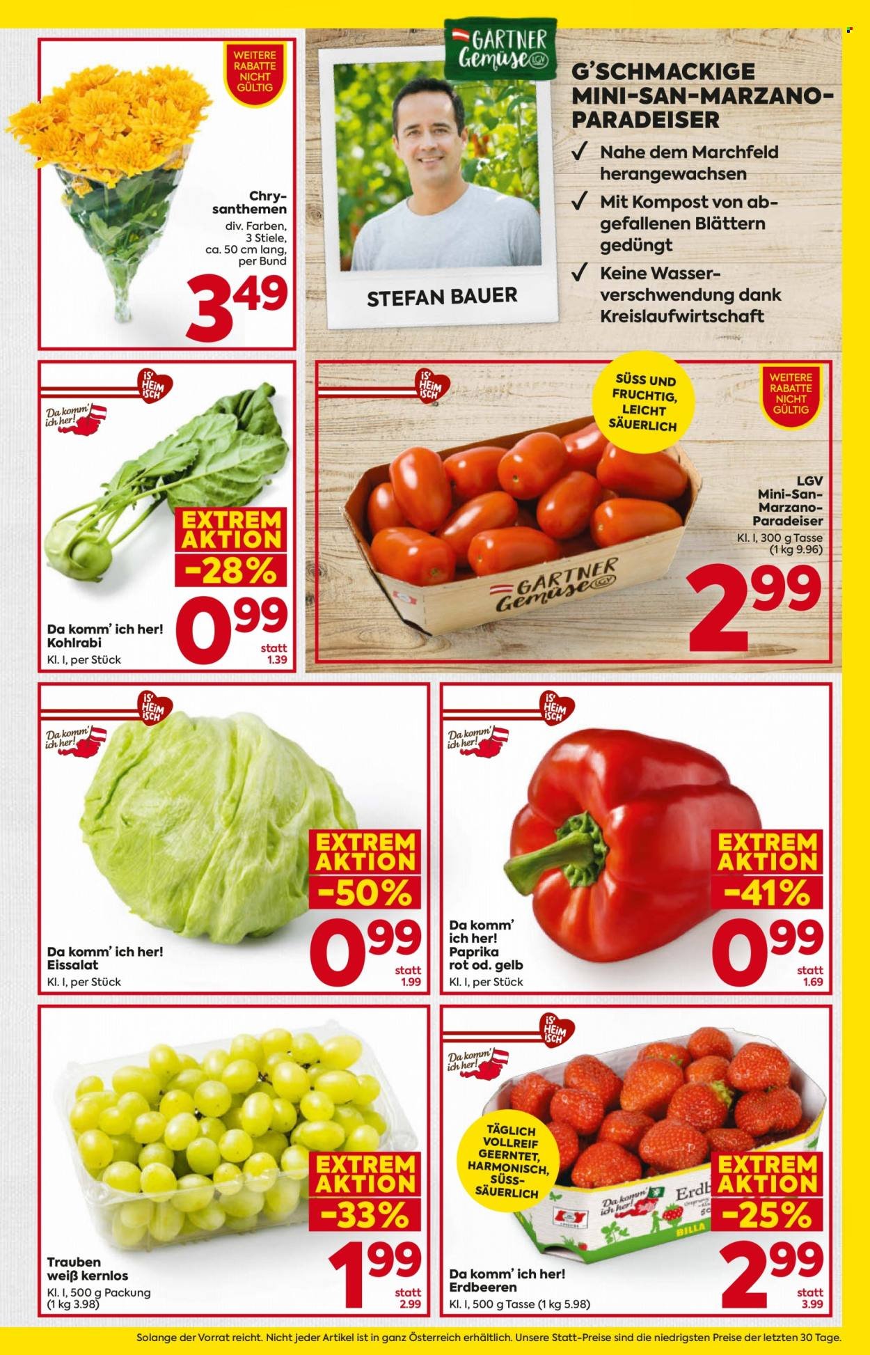 BILLA Flugblatt - Ab Donnerstag, 11.6.2026