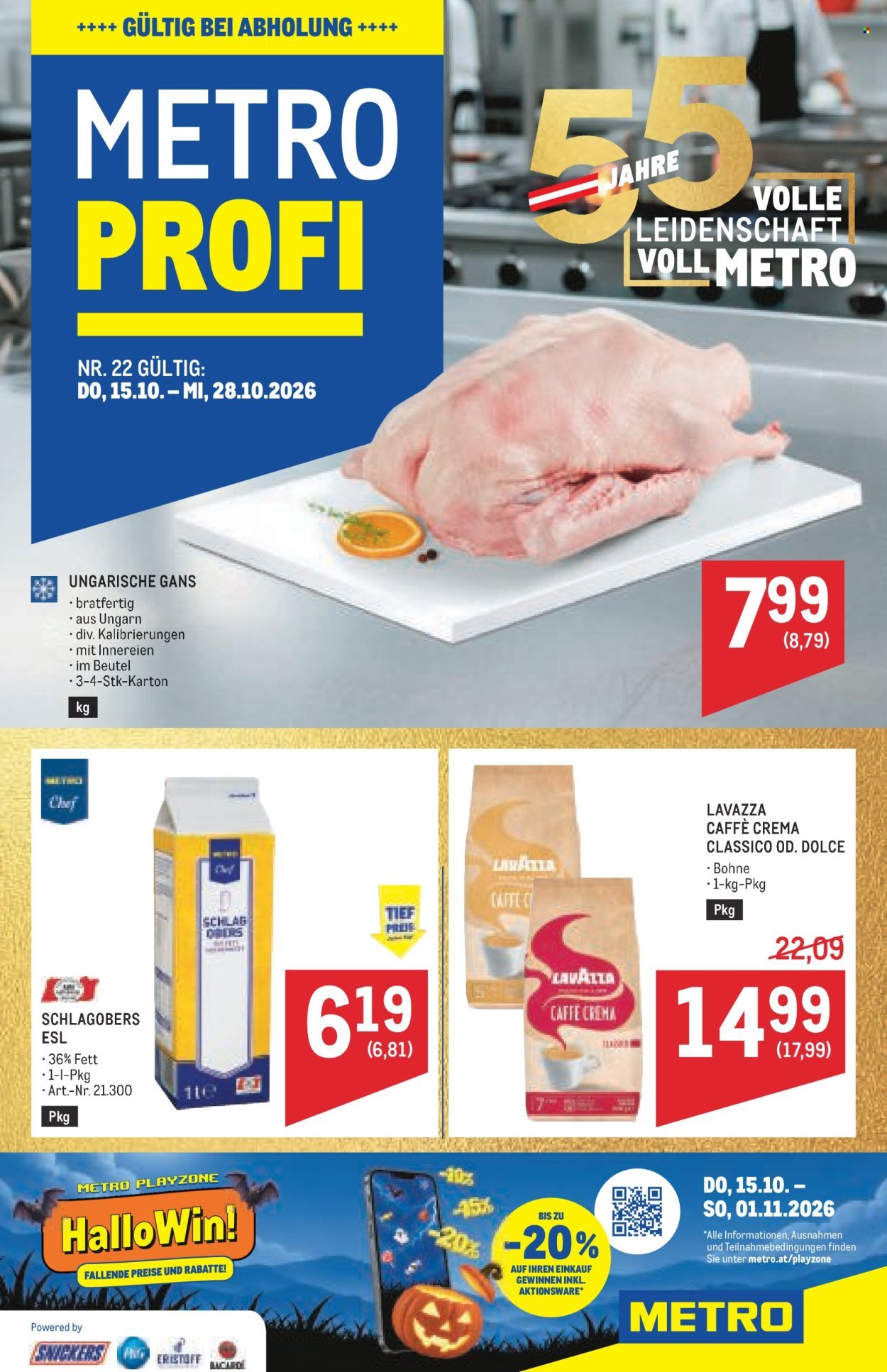 METRO Flugblatt - Profi