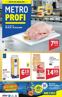 METRO Flugblatt - Profi