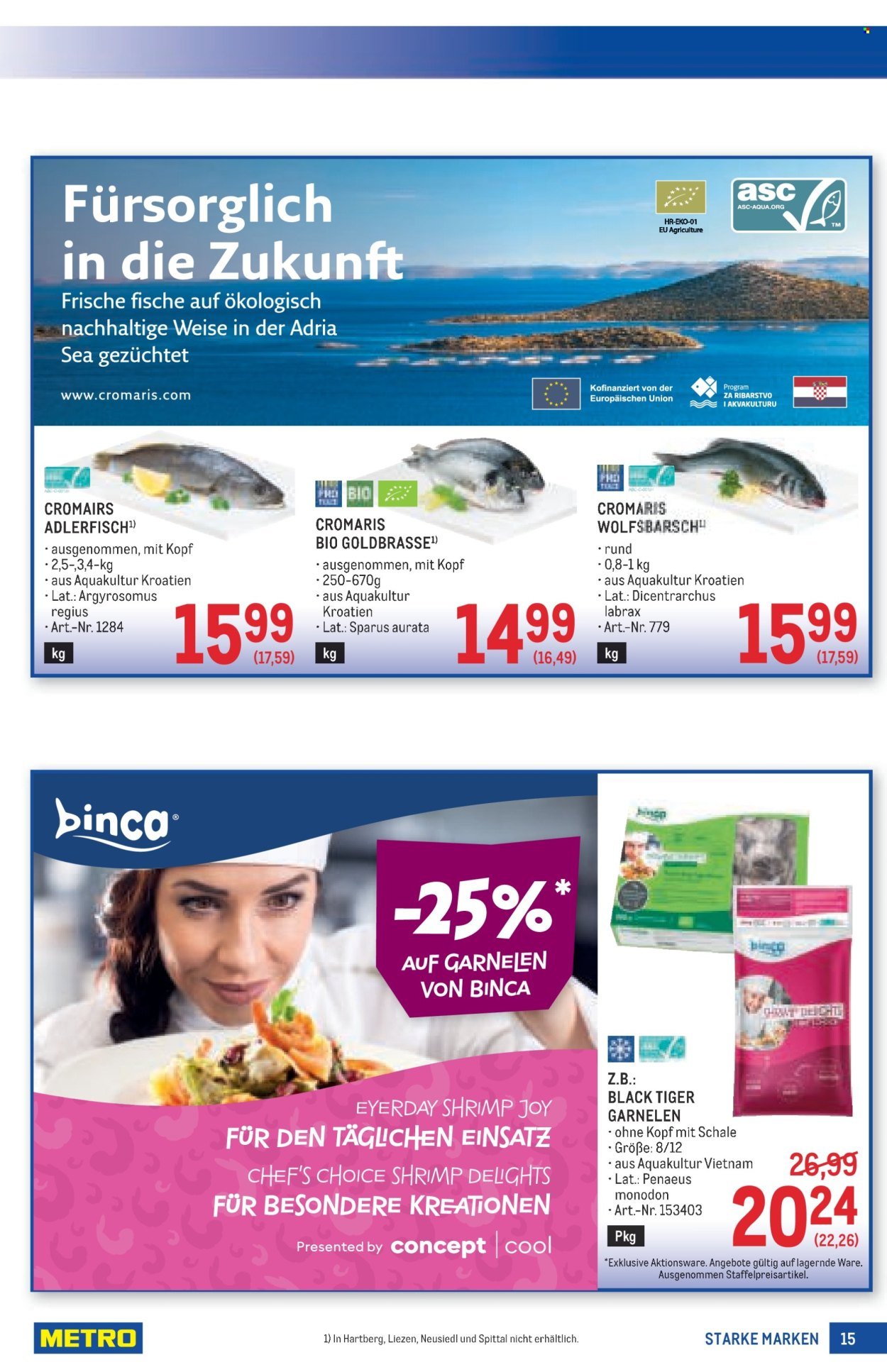 METRO Flugblatt - Starke Marken (2025-12-11 - 2026-01-07) | 15