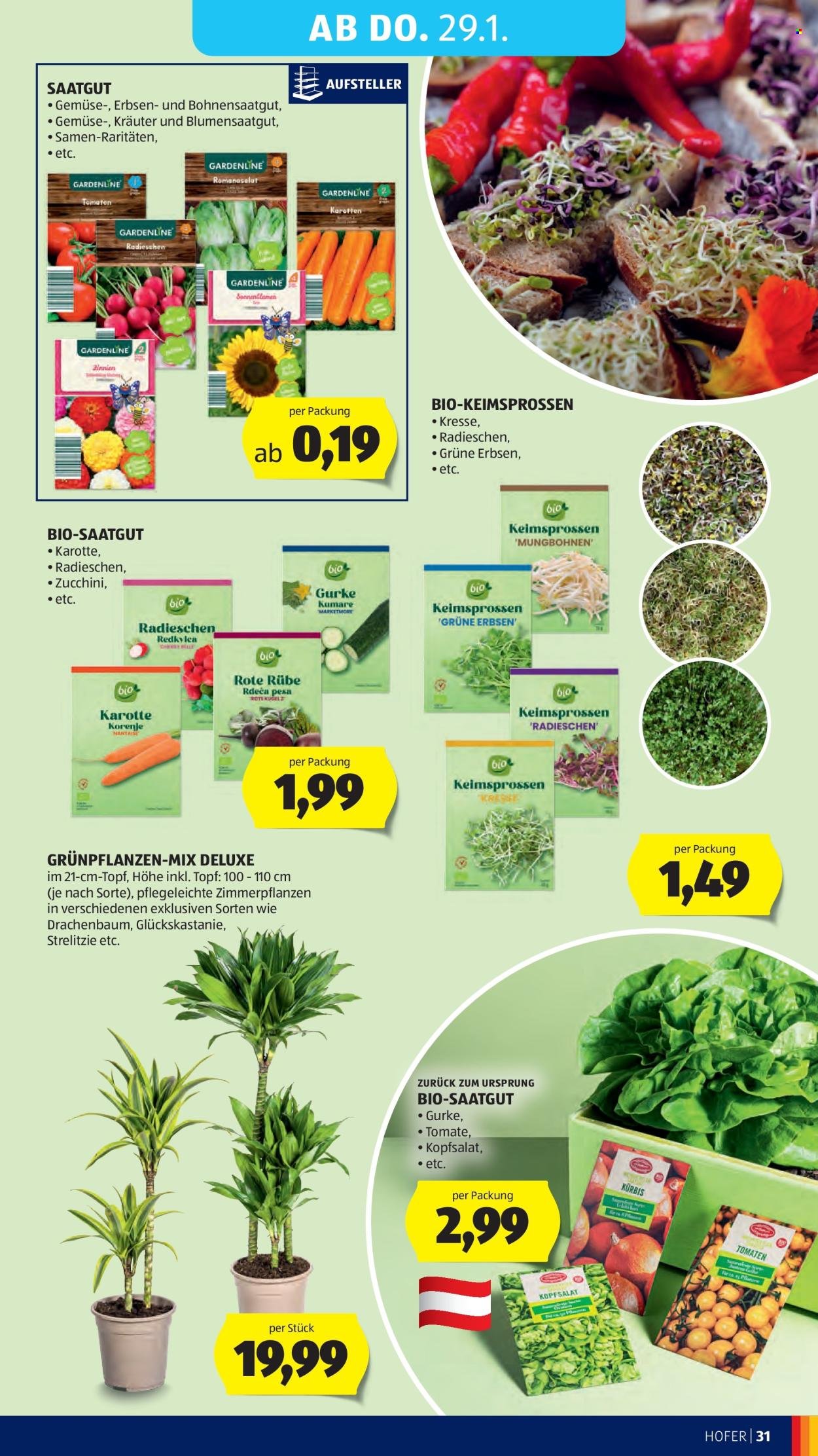 HOFER Flugblatt - Ab Freitag, 23.1.2026