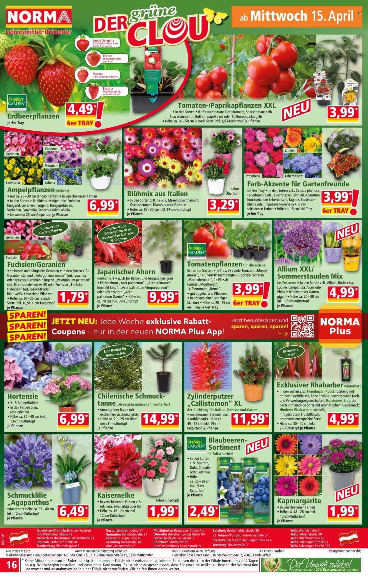 NORMA Flugblatt - Ab Montag, 13.4.2026