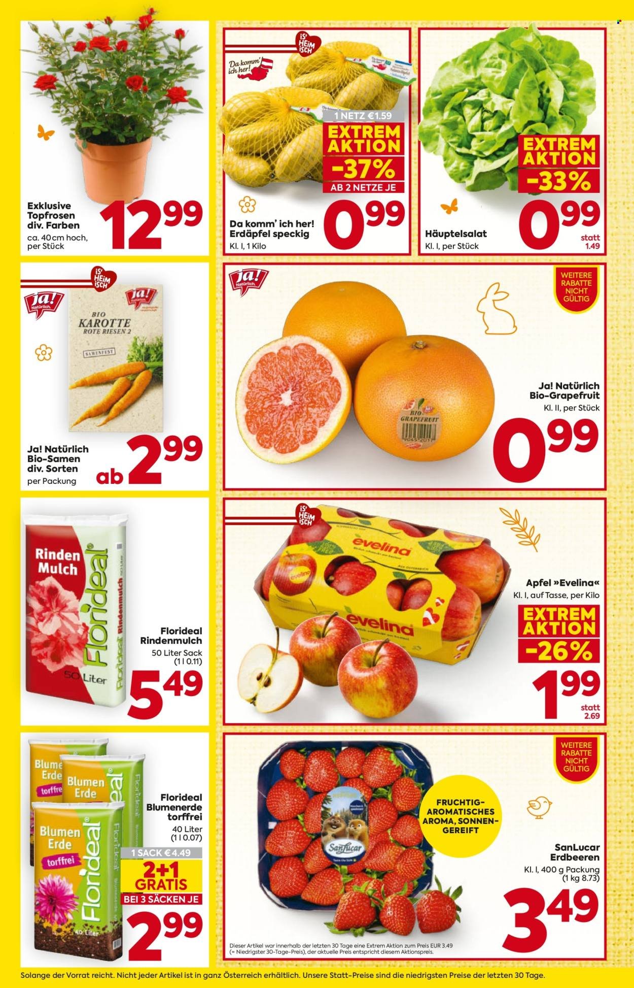 BILLA Flugblatt - Ab Donnerstag, 19.3.2026