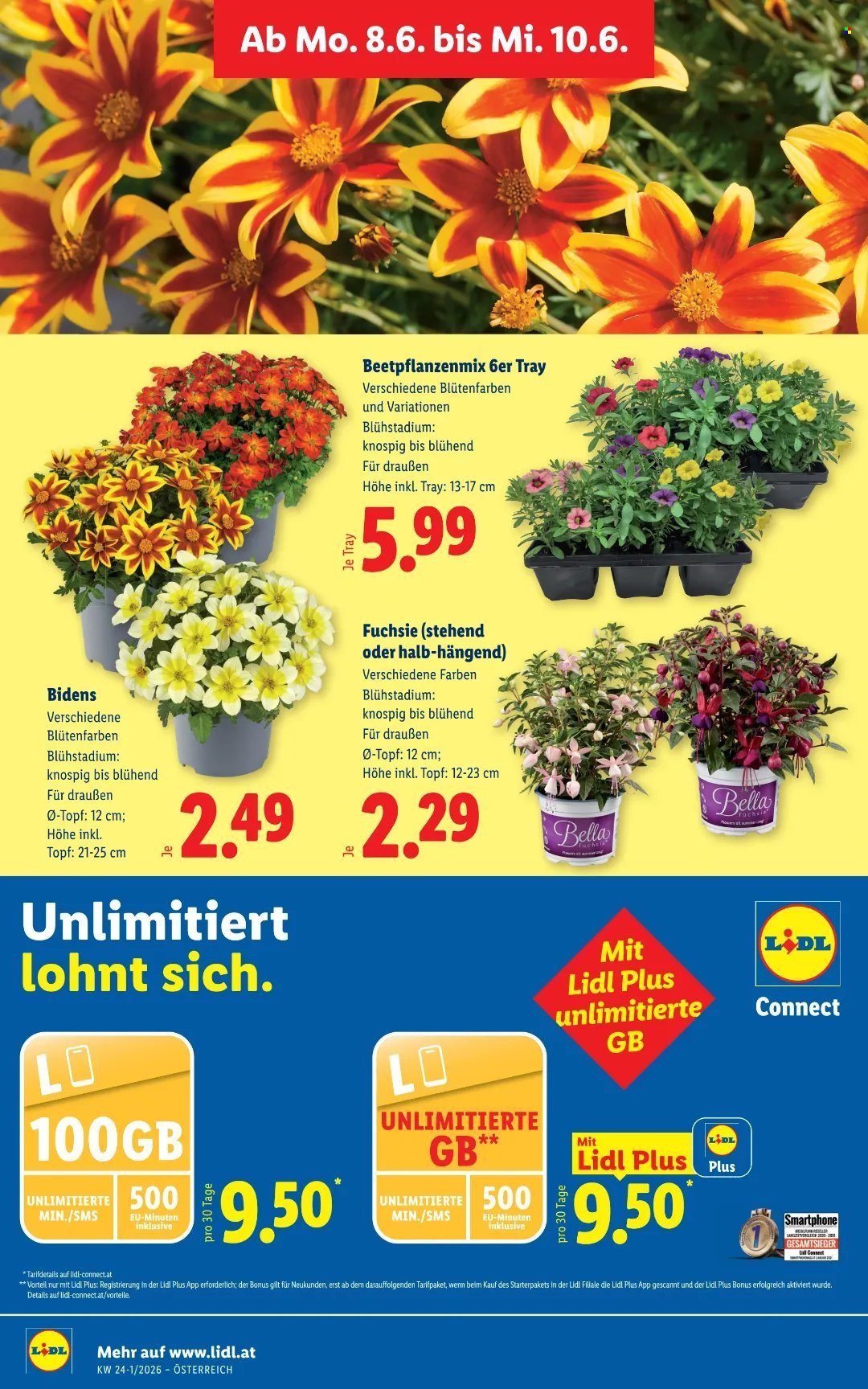 LIDL Flugblatt - Ab Mittwoch, 3.6.2026