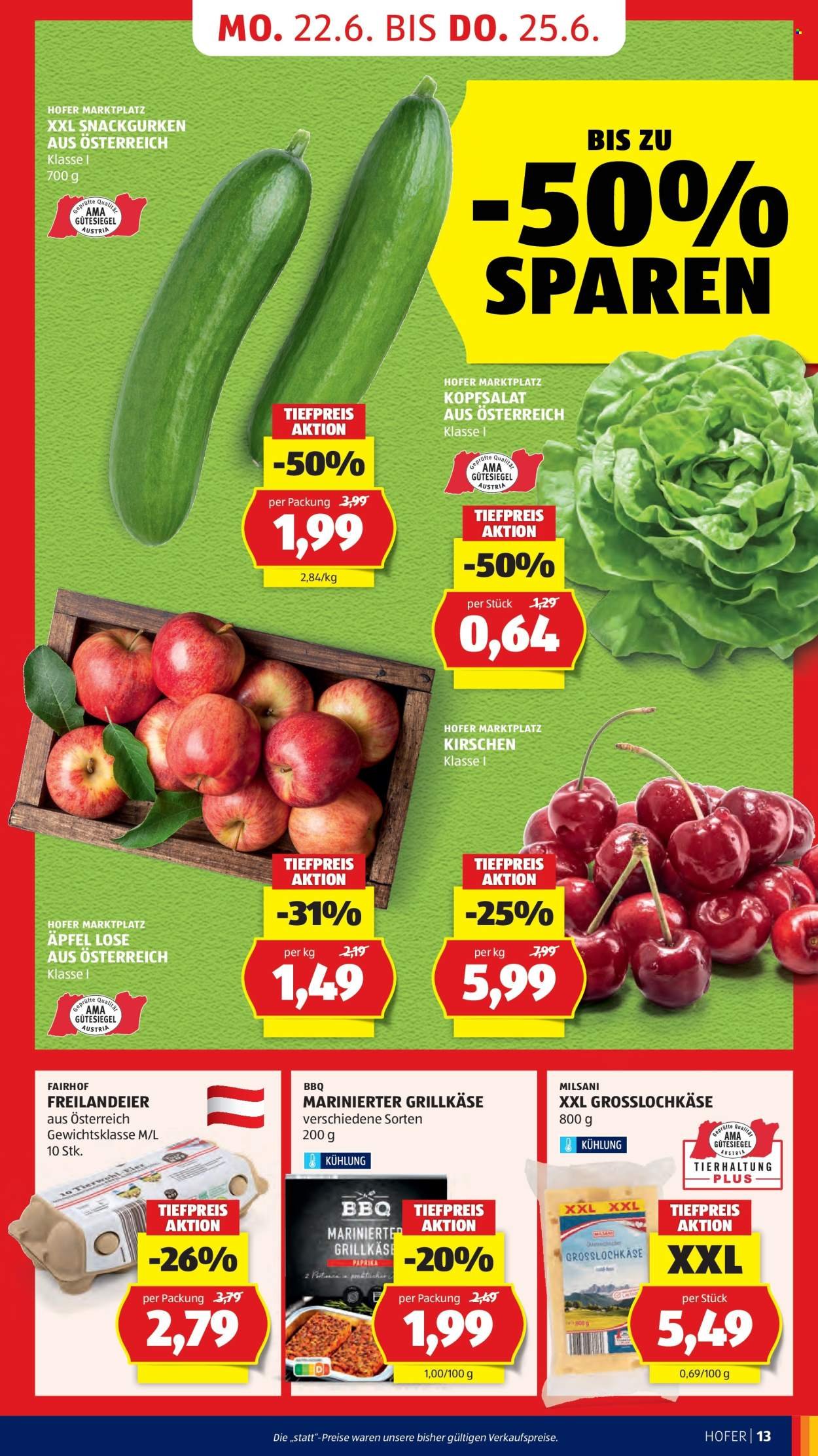 HOFER Flugblatt - Ab Freitag, 19.6.2026