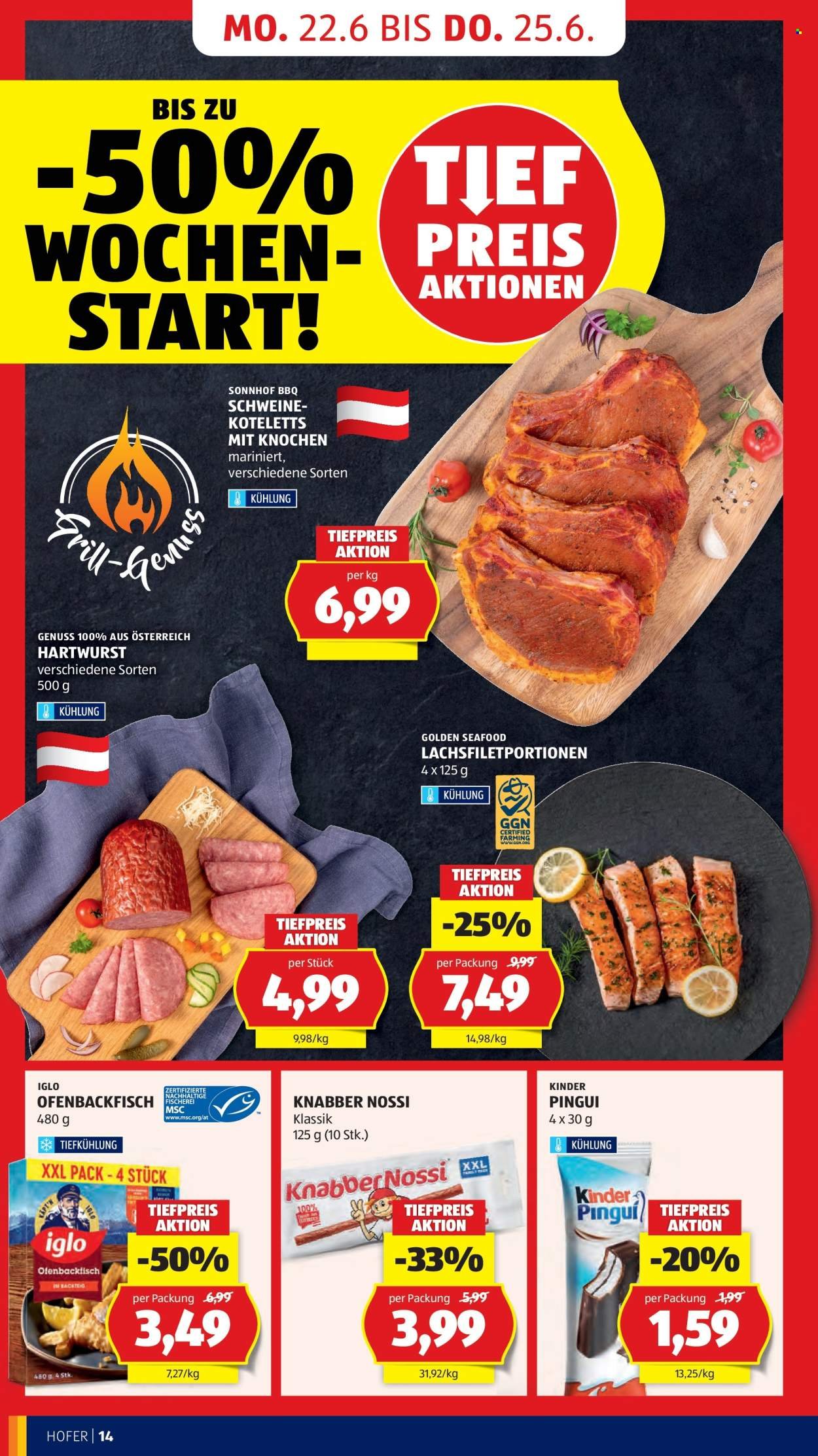HOFER Flugblatt - Ab Freitag, 19.6.2026