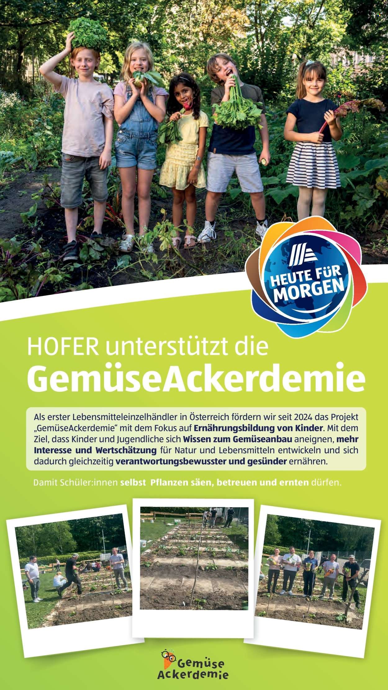 HOFER Flugblatt - Ab Freitag, 19.6.2026