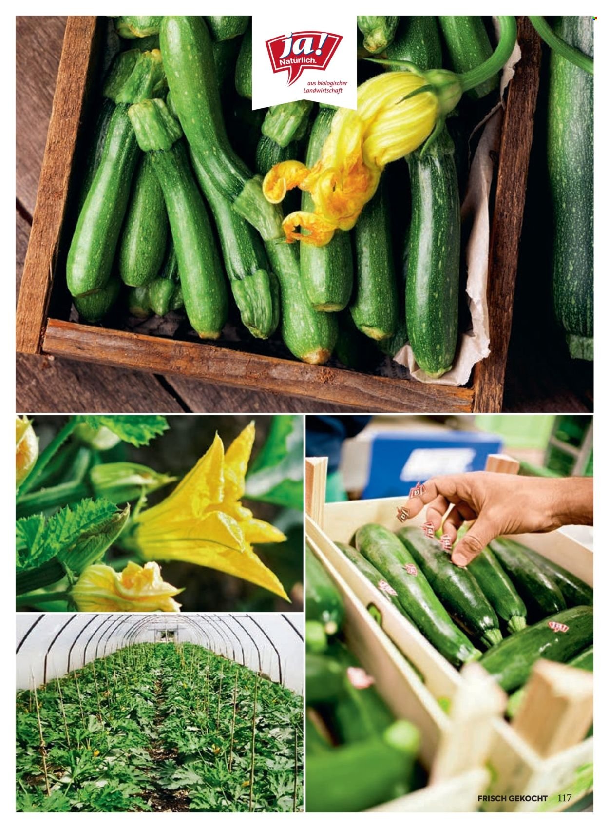 BILLA Flugblatt - Ab Samstag, 1.11.2025 (2025-11-01 - 2025-11-30) | 113