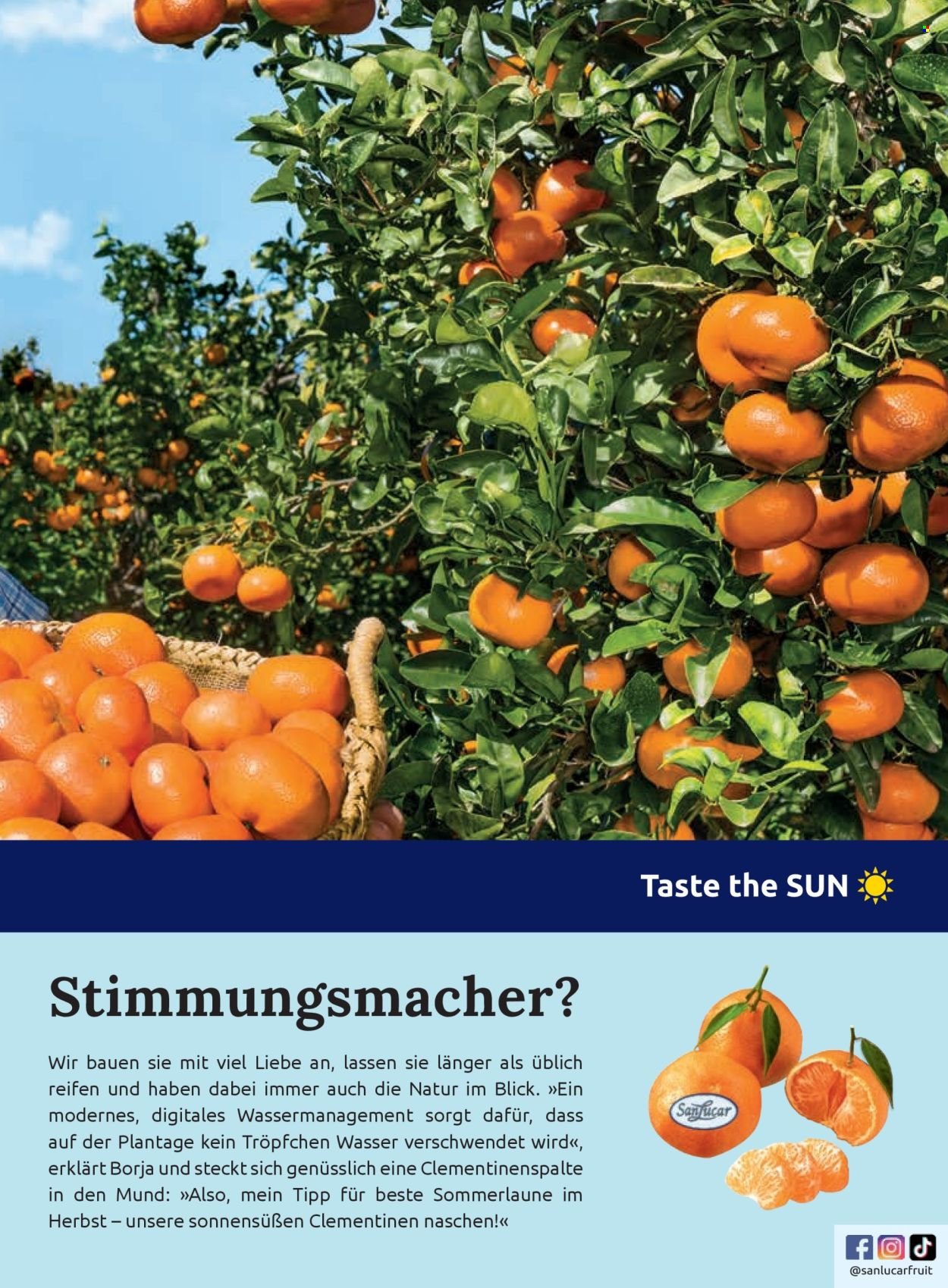 BILLA Flugblatt - Ab Samstag, 1.11.2025 (2025-11-01 - 2025-11-30) | 117