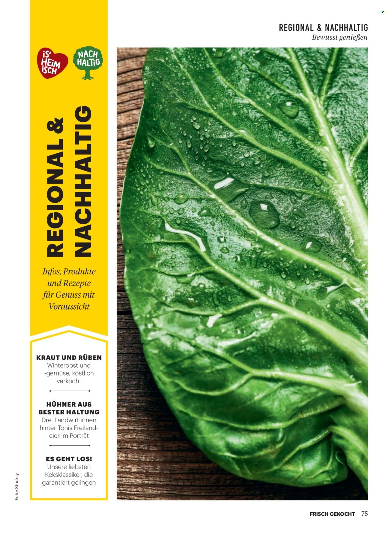 BILLA Flugblatt - Ab Samstag, 1.11.2025 (2025-11-01 - 2025-11-30) | 71