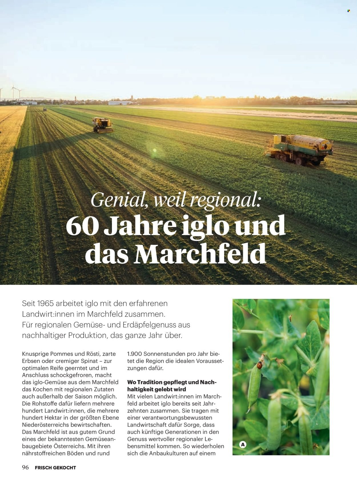 BILLA Flugblatt - Ab Samstag, 1.11.2025 (2025-11-01 - 2025-11-30) | 92