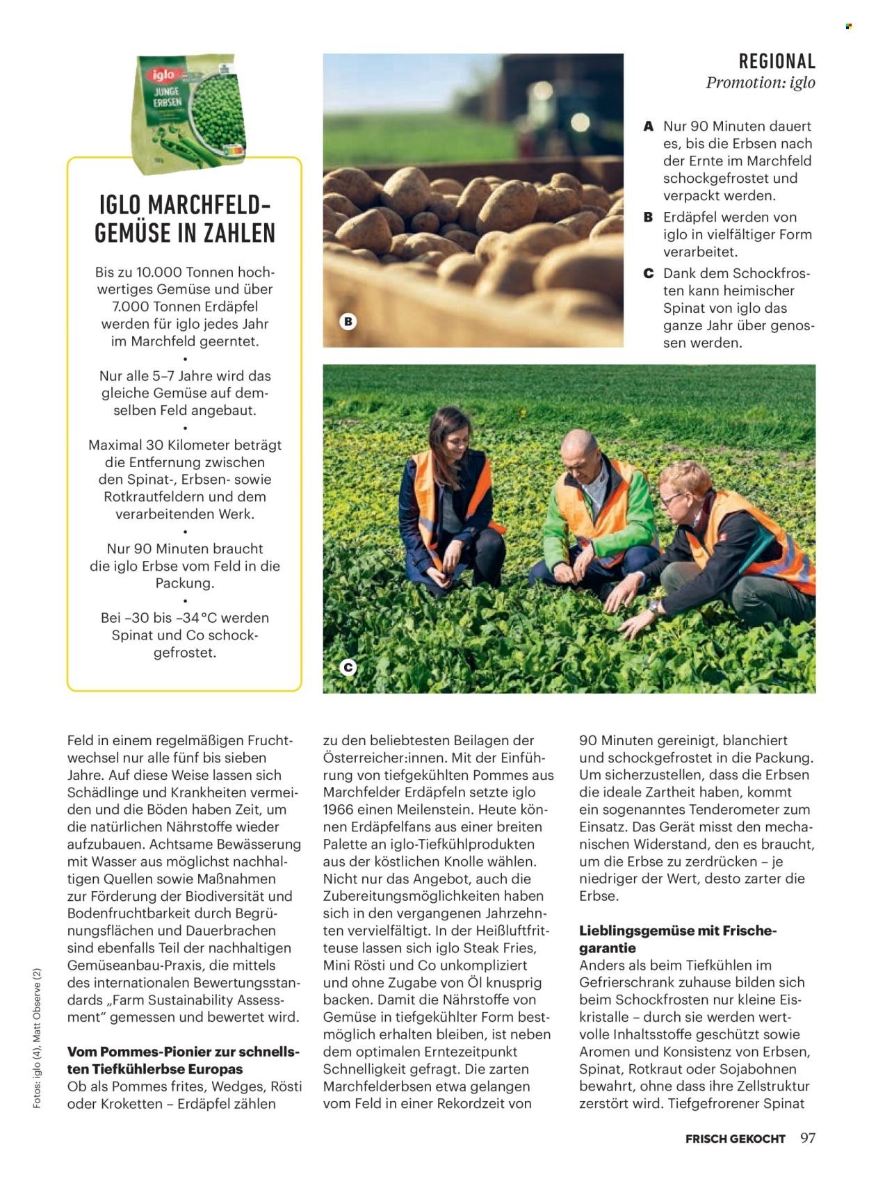 BILLA Flugblatt - Ab Samstag, 1.11.2025 (2025-11-01 - 2025-11-30) | 93