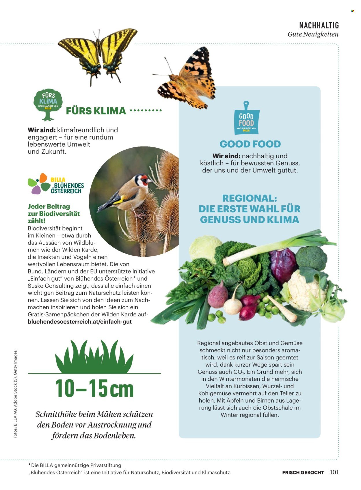 BILLA Flugblatt - Ab Samstag, 1.11.2025 (2025-11-01 - 2025-11-30) | 97