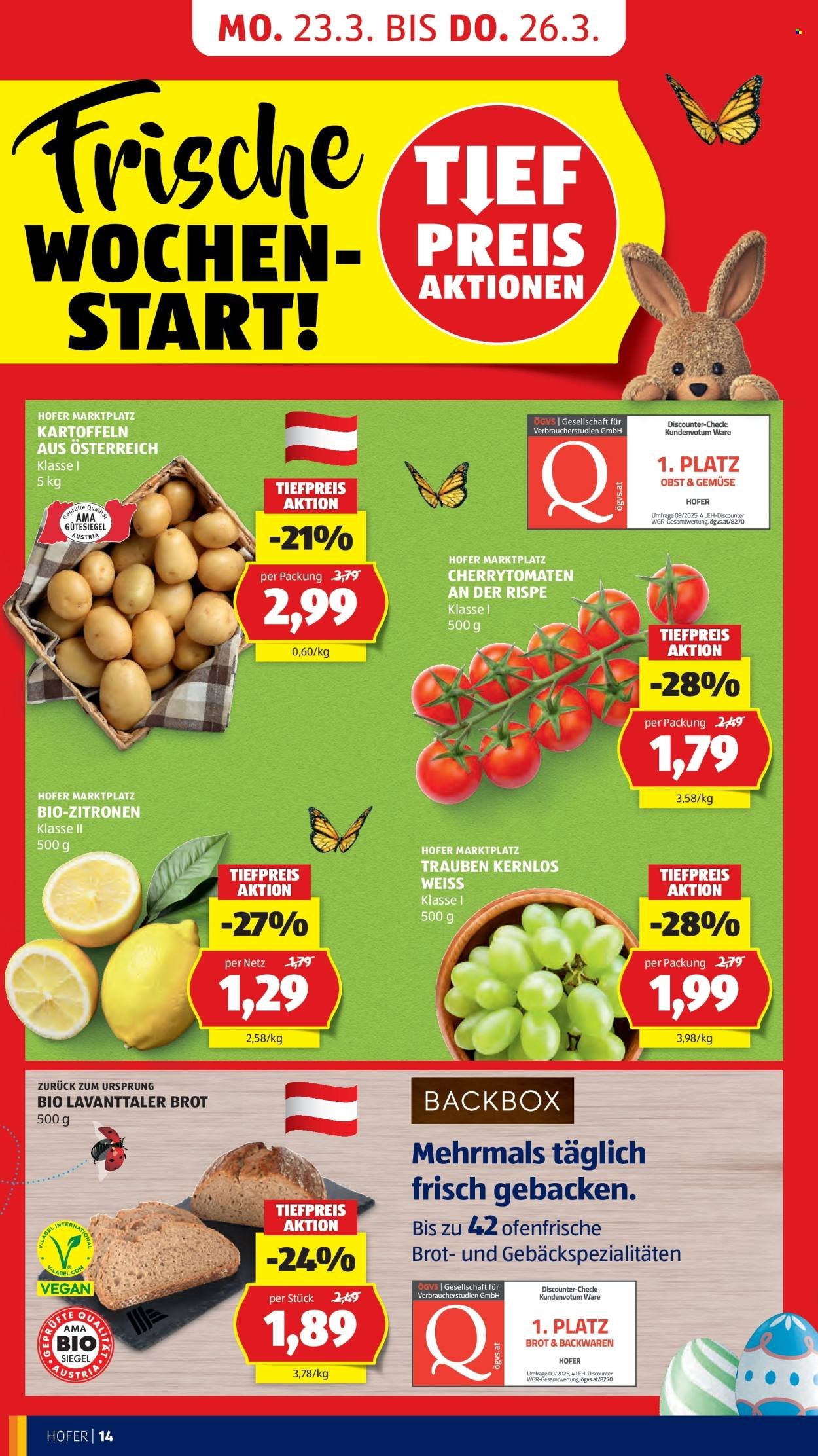 HOFER Flugblatt - Ab Freitag, 20.3.2026 (2026-03-20 - 2026-03-26) | 20
