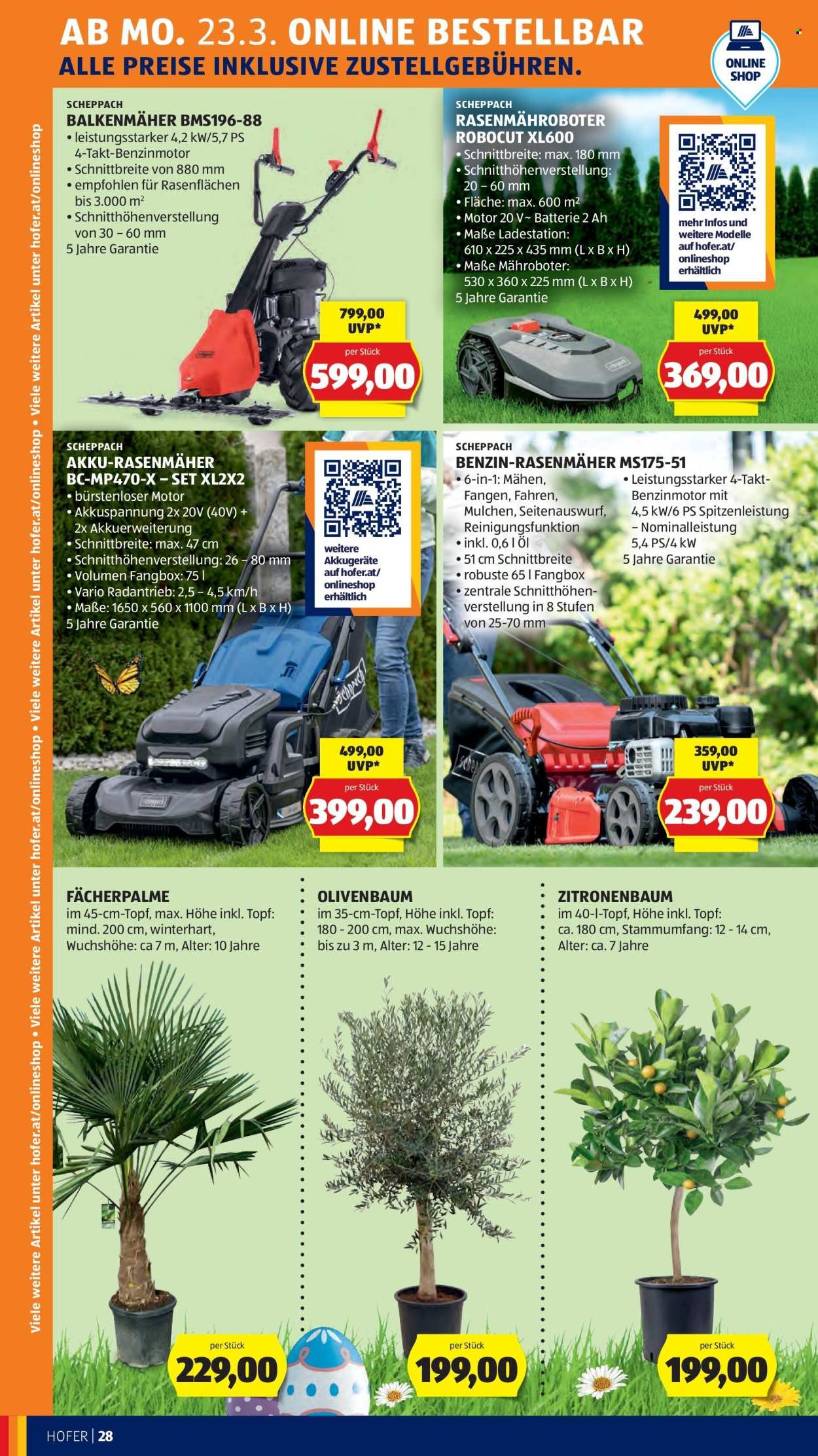 HOFER Flugblatt - Ab Freitag, 20.3.2026 (2026-03-20 - 2026-03-26) | 36