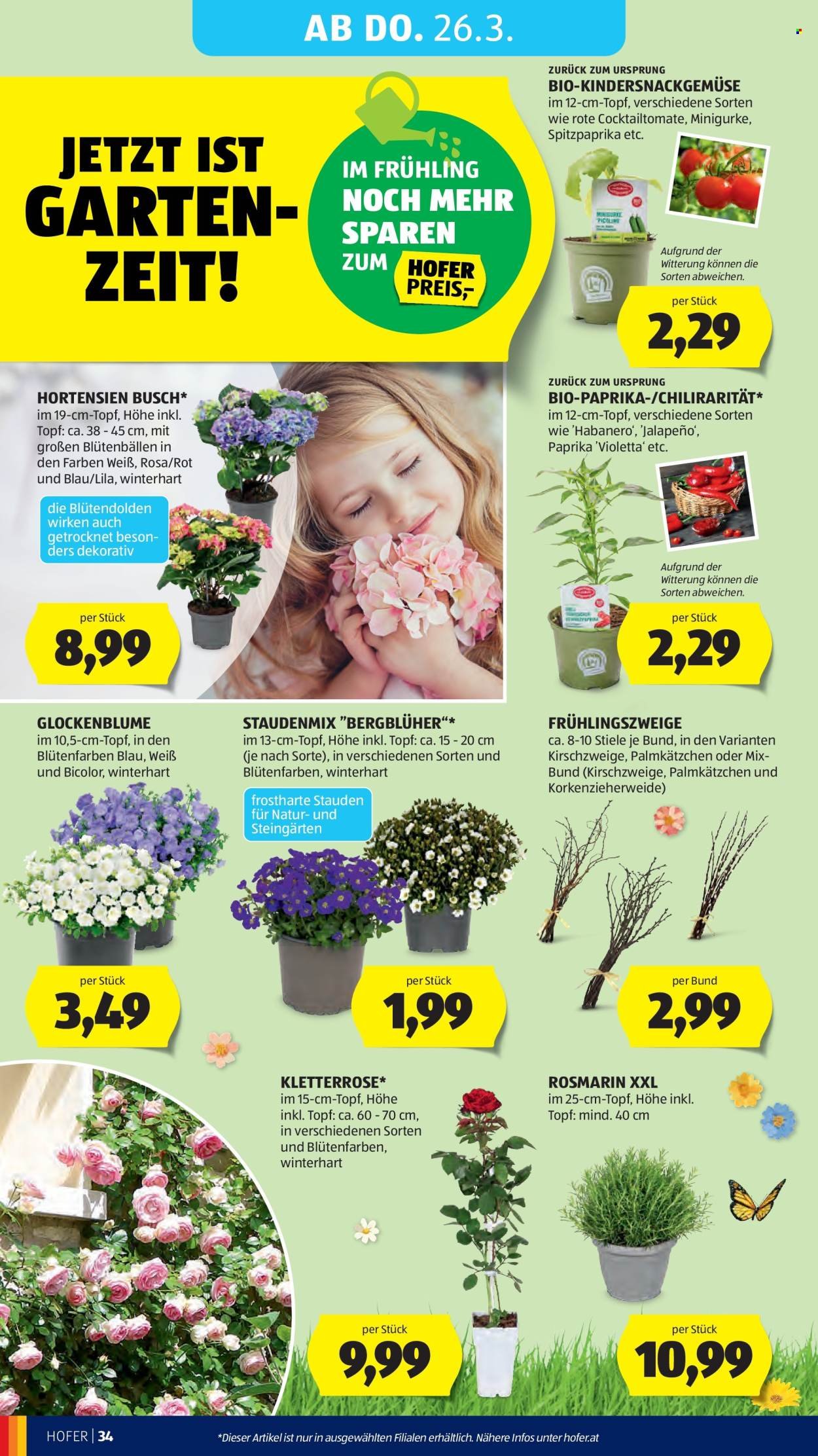 HOFER Flugblatt - Ab Freitag, 20.3.2026 (2026-03-20 - 2026-03-26) | 42