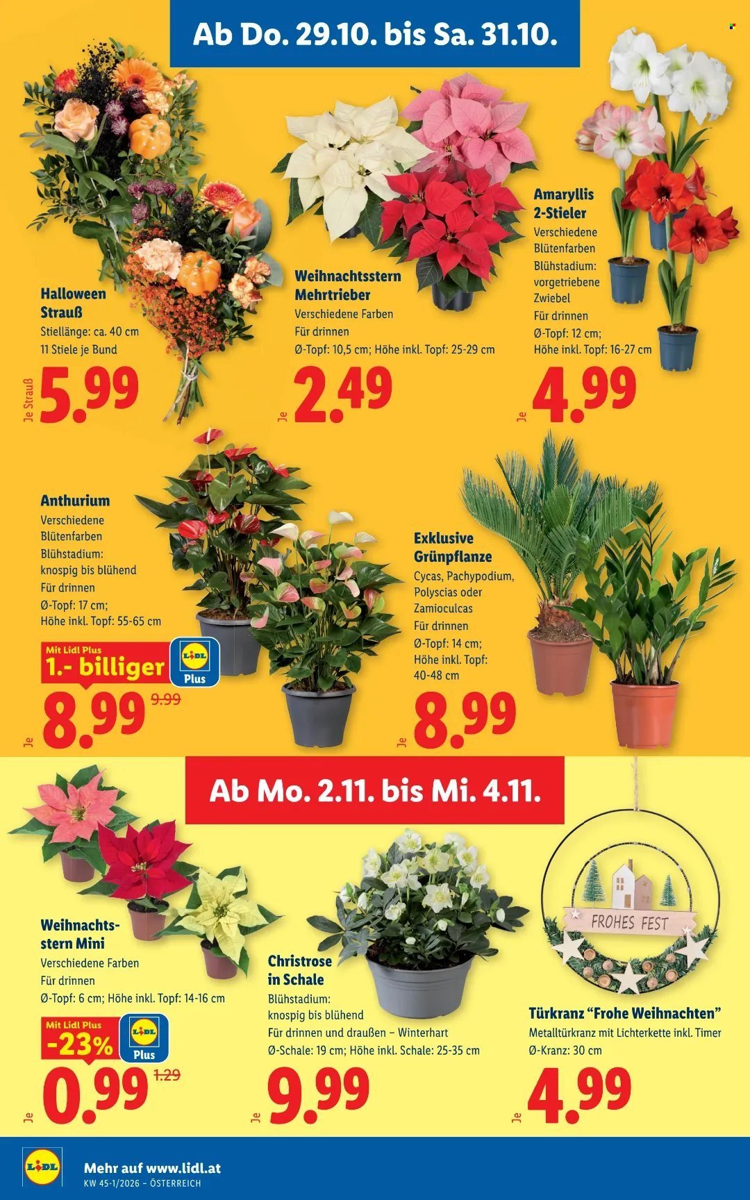 LIDL Flugblatt - Ab Donnerstag, 29.10.2026