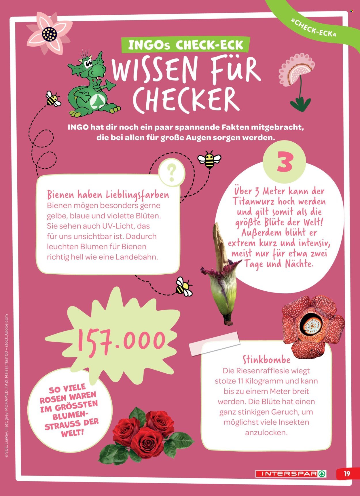 INTERSPAR Flugblatt - INGO Spürnasen-Magazin: Ausgabe Frühling