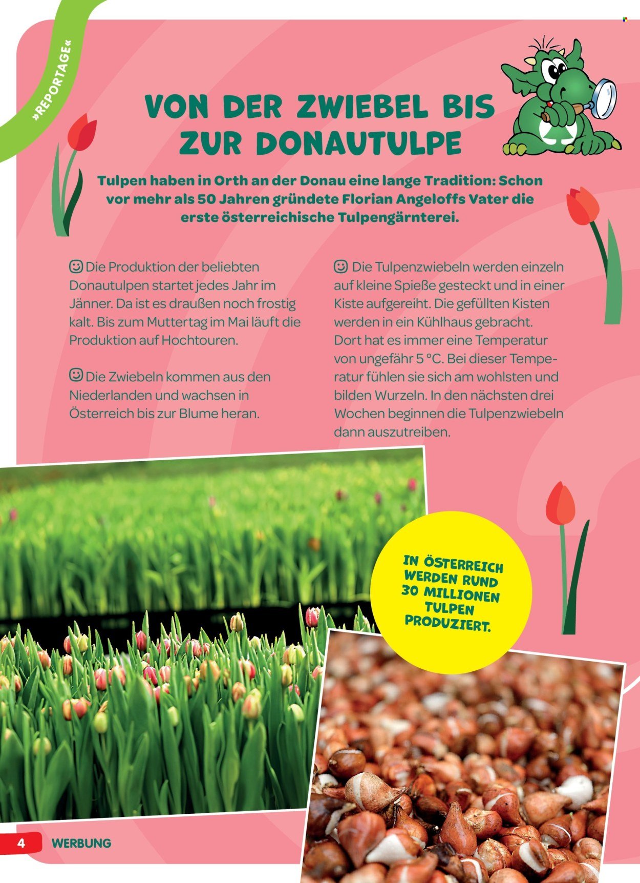 INTERSPAR Flugblatt - INGO Spürnasen-Magazin: Ausgabe Frühling