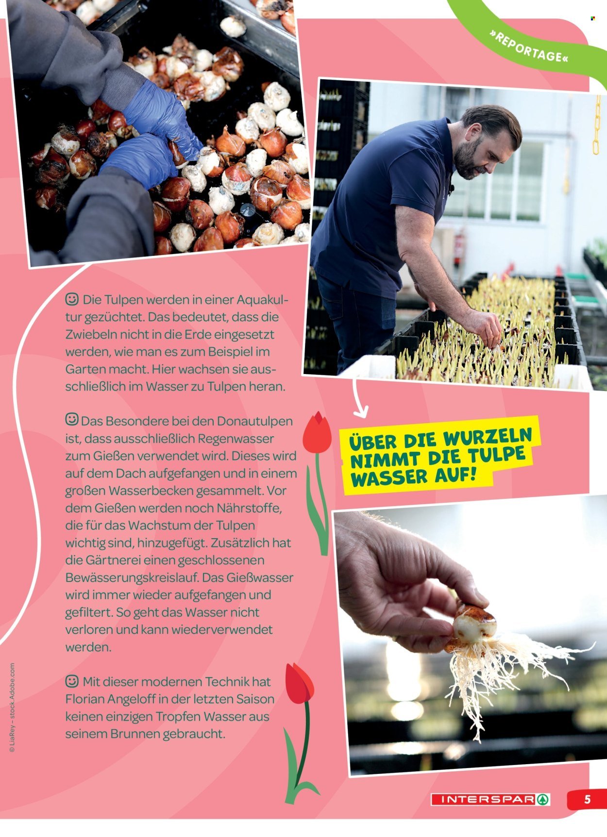 INTERSPAR Flugblatt - INGO Spürnasen-Magazin: Ausgabe Frühling