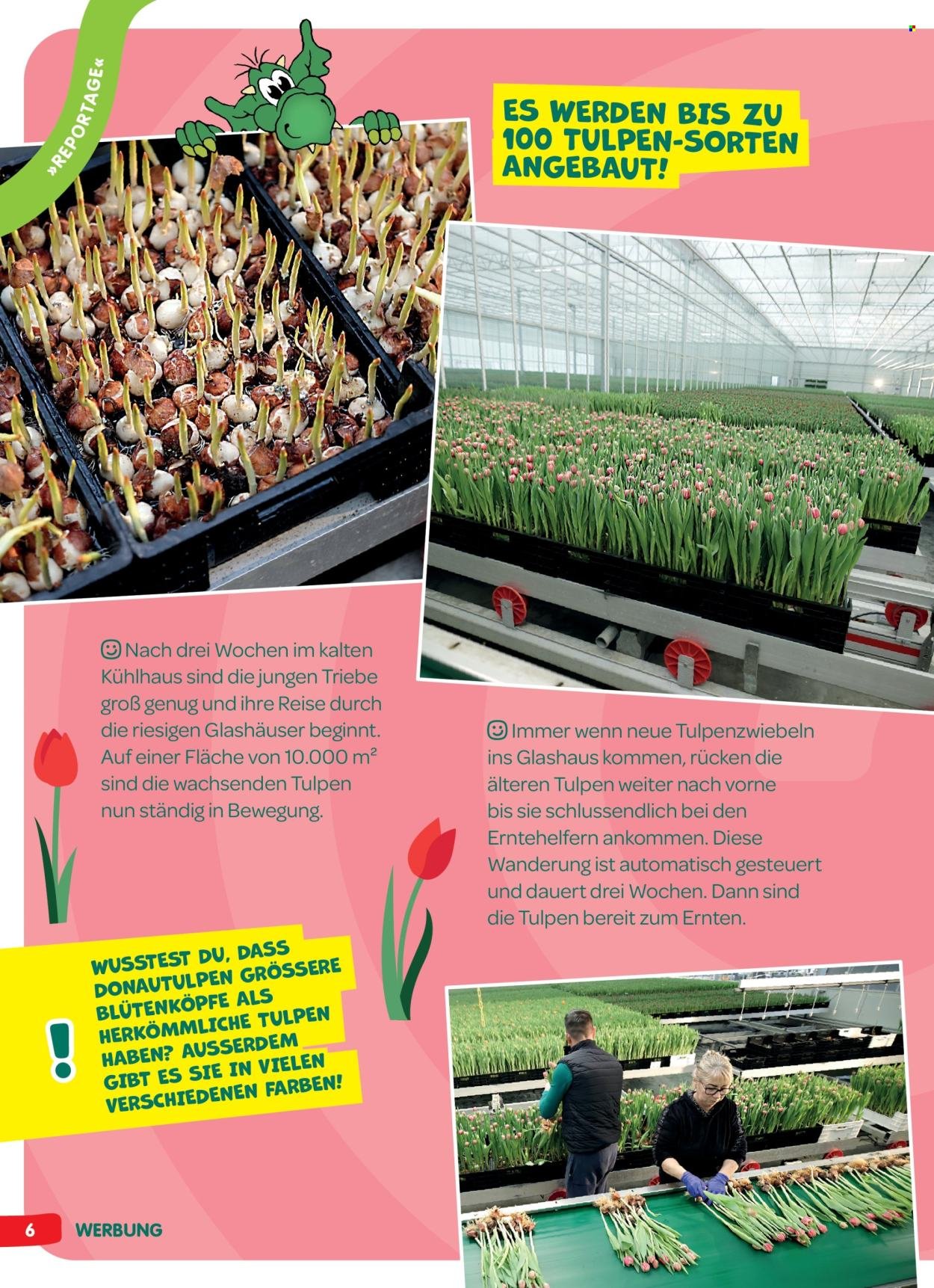 INTERSPAR Flugblatt - INGO Spürnasen-Magazin: Ausgabe Frühling