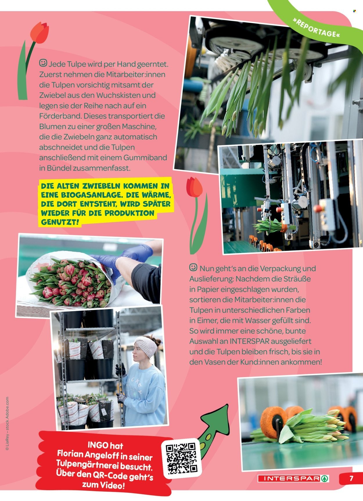 INTERSPAR Flugblatt - INGO Spürnasen-Magazin: Ausgabe Frühling