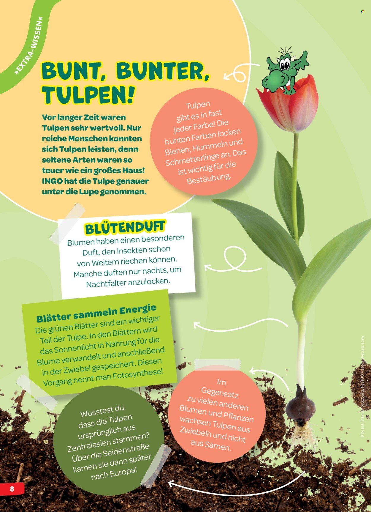 INTERSPAR Flugblatt - INGO Spürnasen-Magazin: Ausgabe Frühling