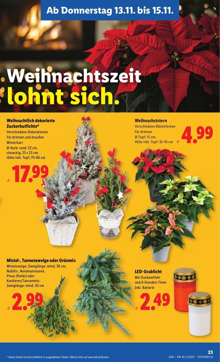 LIDL Flugblatt - Ab Donnerstag, 13.11.2025