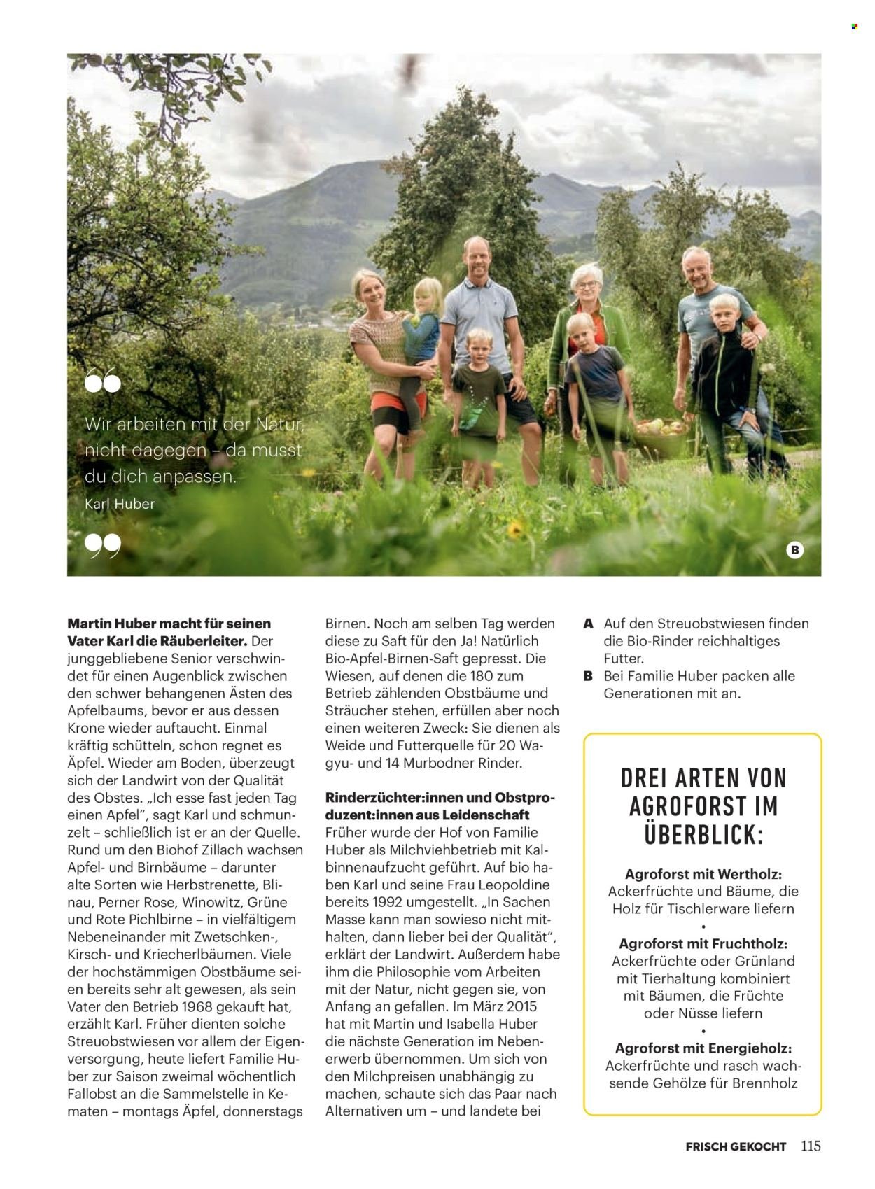 BILLA Flugblatt - Ab Donnerstag, 1.1.2026