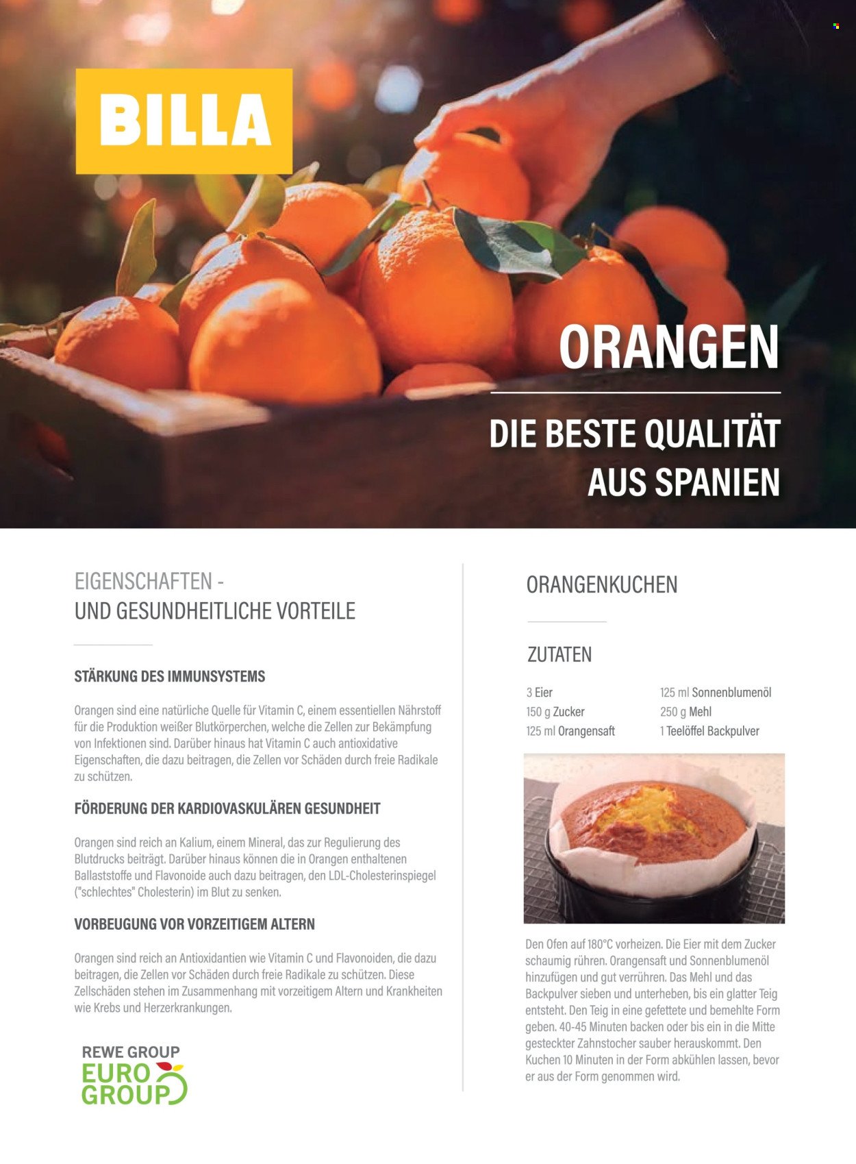 BILLA Flugblatt - Ab Donnerstag, 1.1.2026