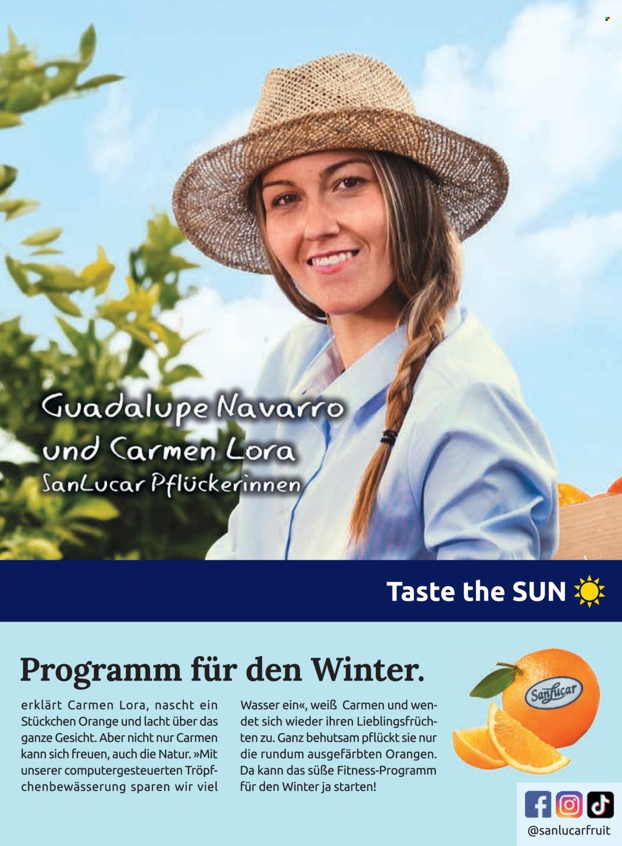 BILLA Flugblatt - Ab Donnerstag, 1.1.2026