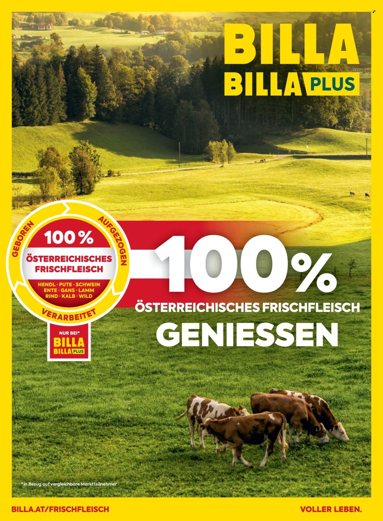 BILLA Flugblatt - Ab Donnerstag, 1.1.2026