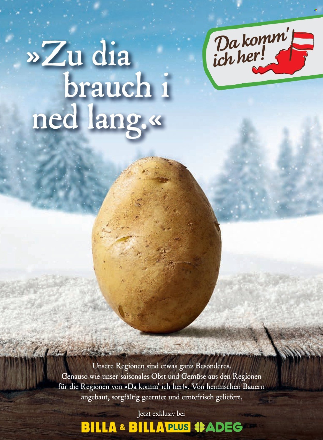 BILLA Flugblatt - Ab Donnerstag, 1.1.2026