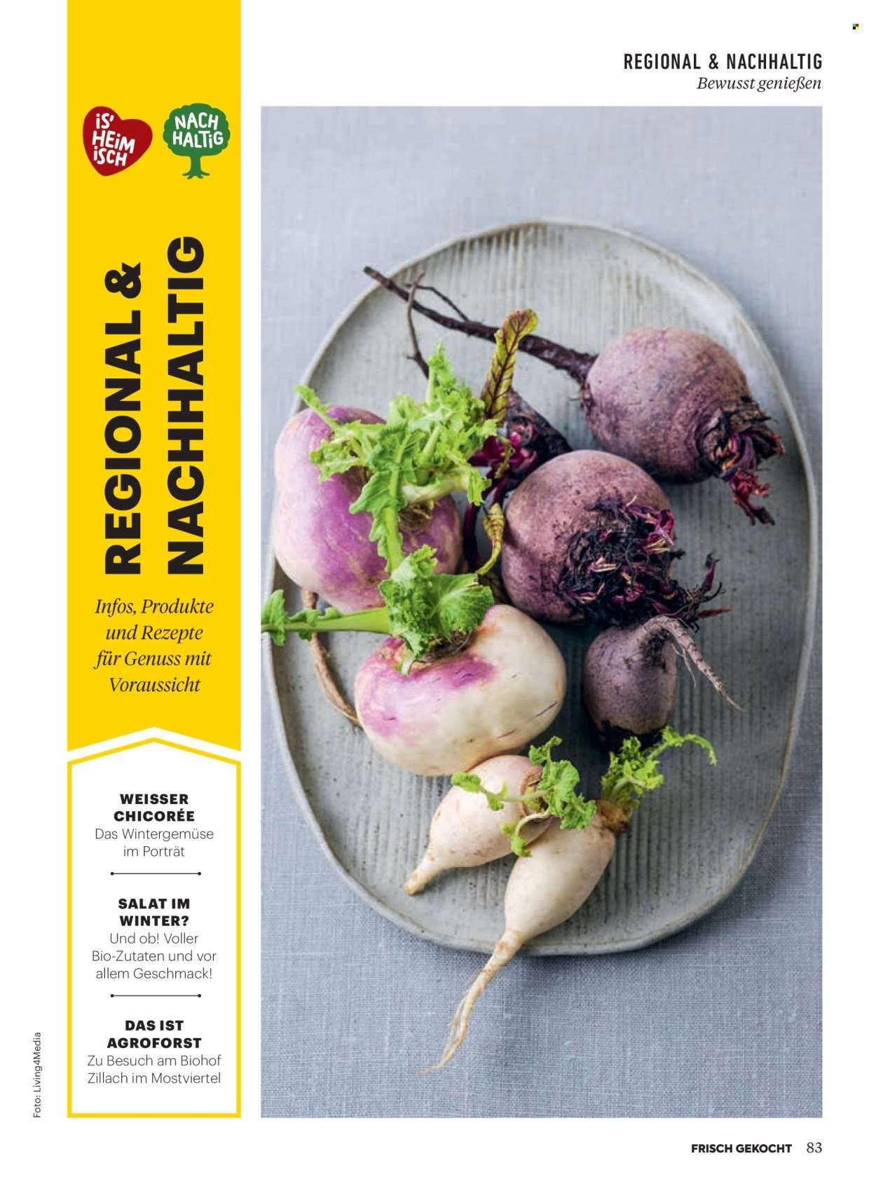 BILLA Flugblatt - Ab Donnerstag, 1.1.2026