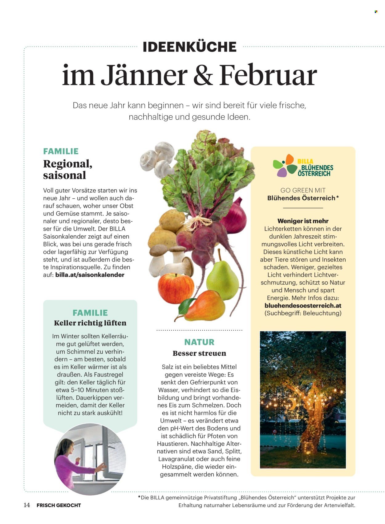 BILLA Flugblatt - Ab Donnerstag, 1.1.2026