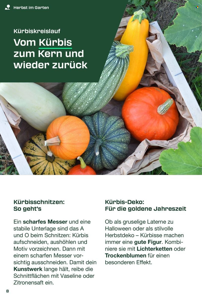 LIDL Flugblatt - PARKSIDE® Du packst das! (2025-09-05)