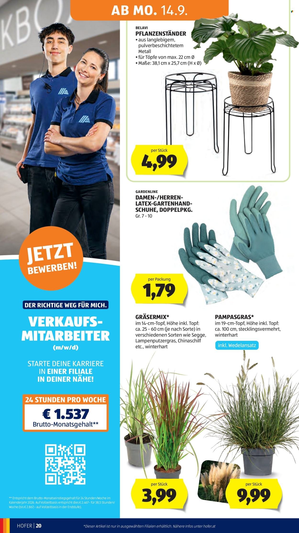 HOFER Flugblatt - Ab Freitag, 11.9.2026