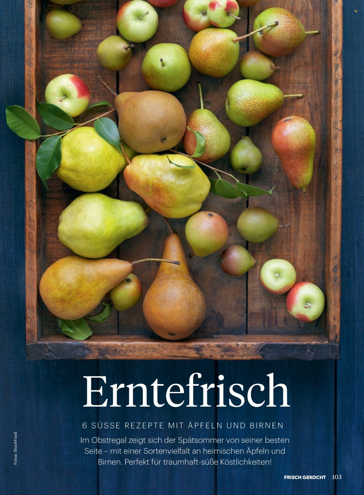 BILLA Flugblatt - Ab Montag, 1.9.2025 (2025-09-01 - 2025-09-30)