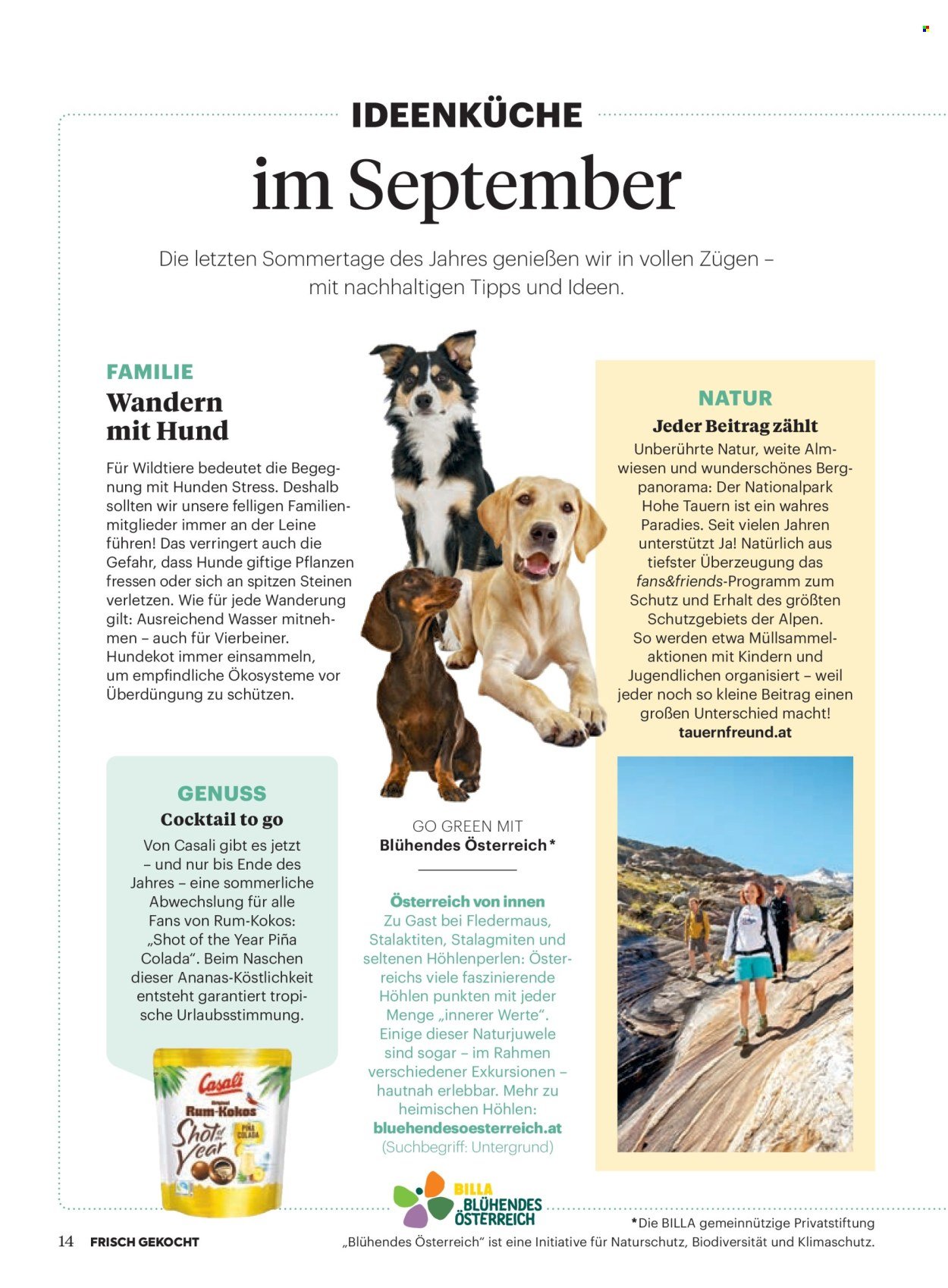 BILLA Flugblatt - Ab Montag, 1.9.2025 (2025-09-01 - 2025-09-30)
