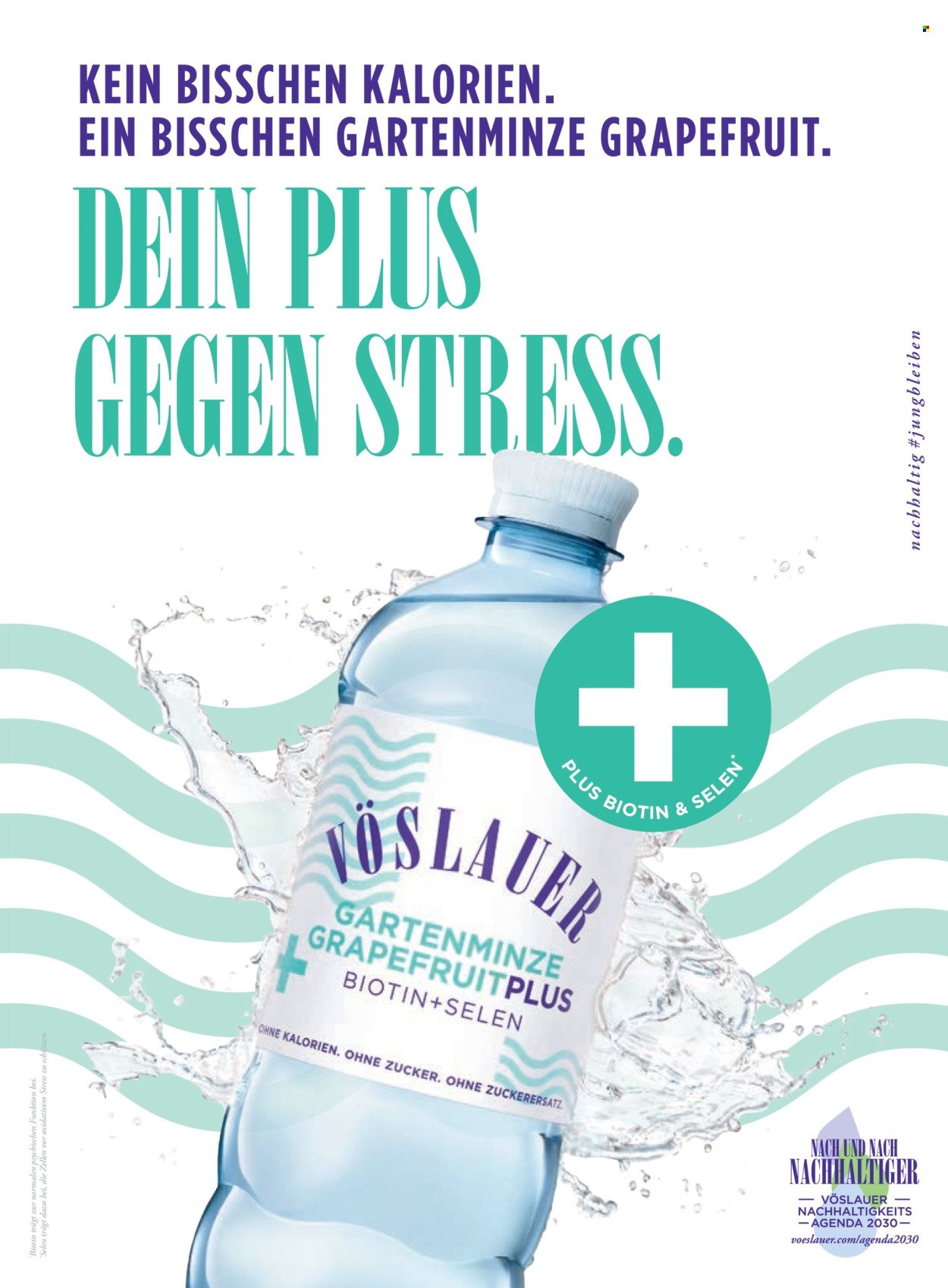BILLA Flugblatt - Ab Montag, 1.9.2025 (2025-09-01 - 2025-09-30)